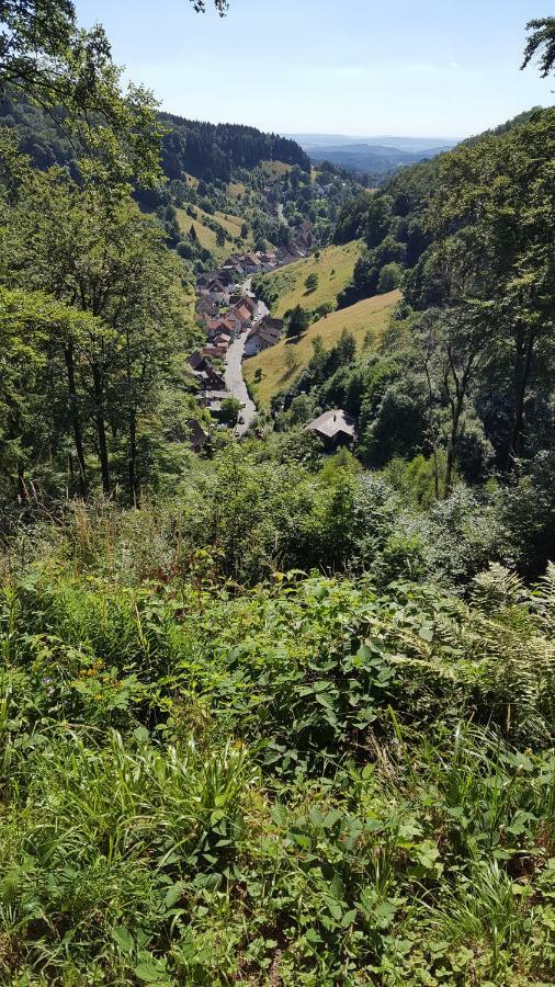 Fewo Bergblick Osterode am Harz Exterior foto