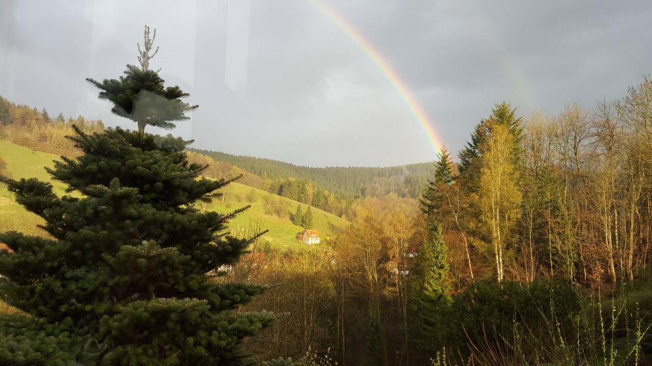 Fewo Bergblick Osterode am Harz Exterior foto